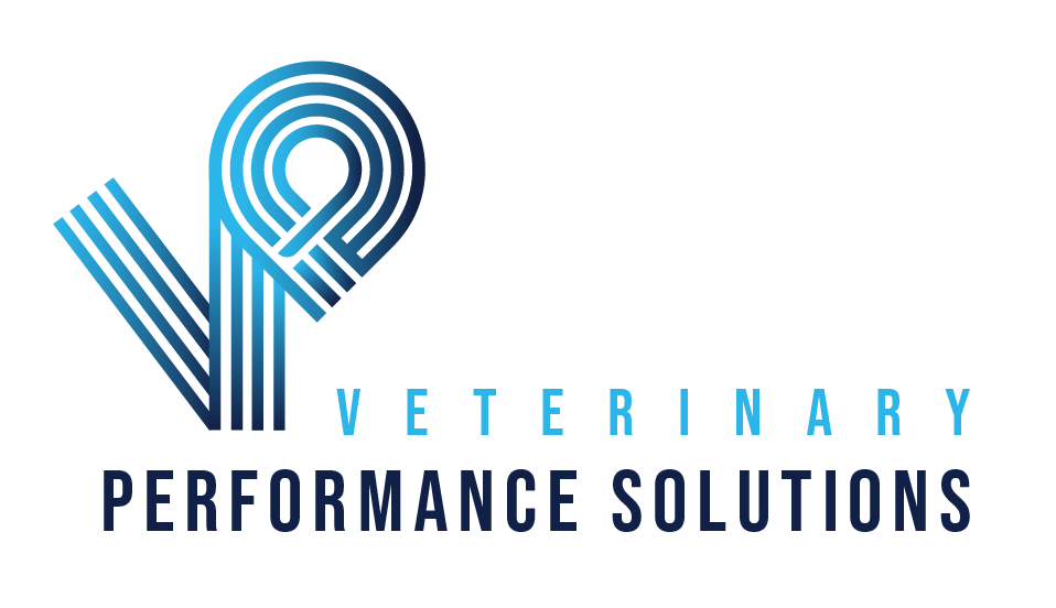 VPS Logo_Full Logo Color