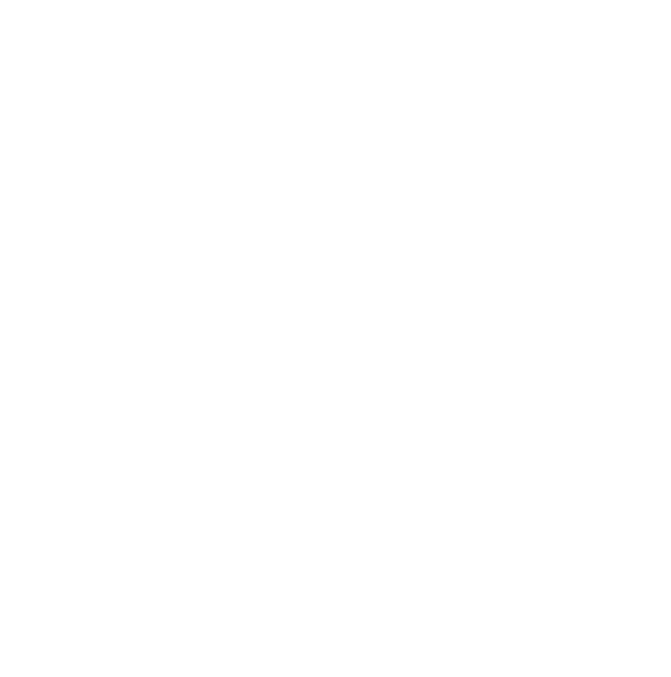 VPS Logo_Icon White-1